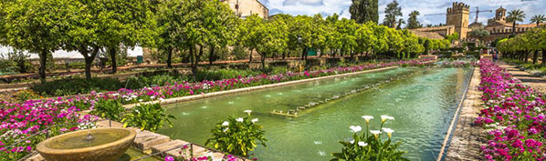 Cordoba Mobile Header